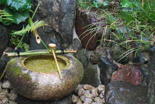 Ryoanji Temple water offerings