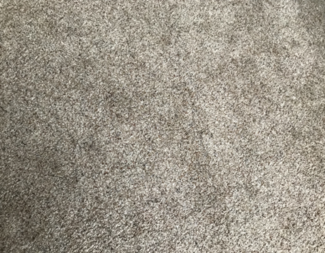 Carpet-Orgional