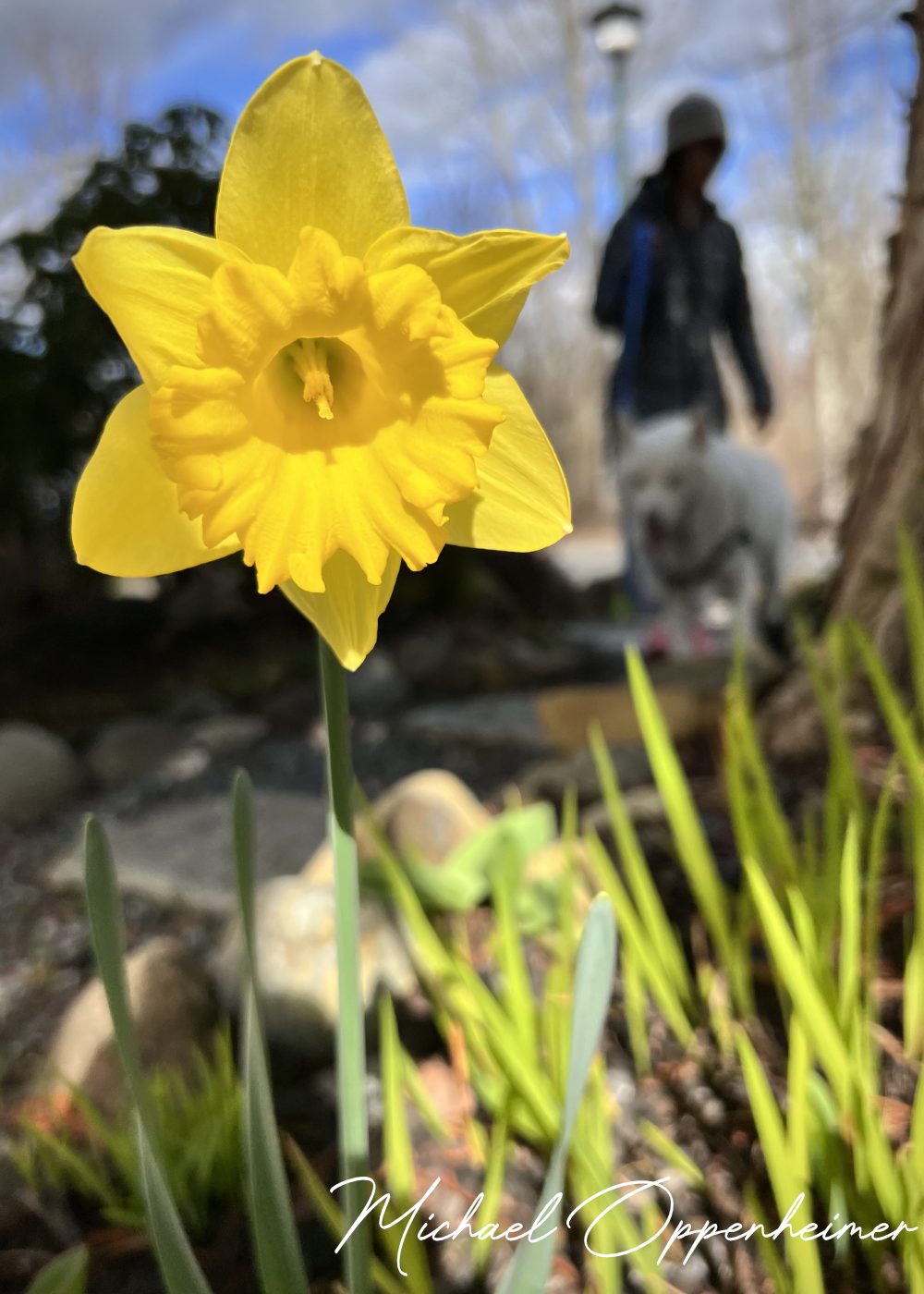 flowers-with-indy7360