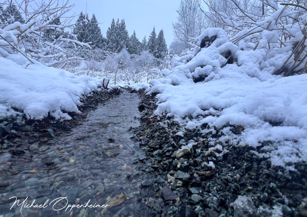 snow1324
