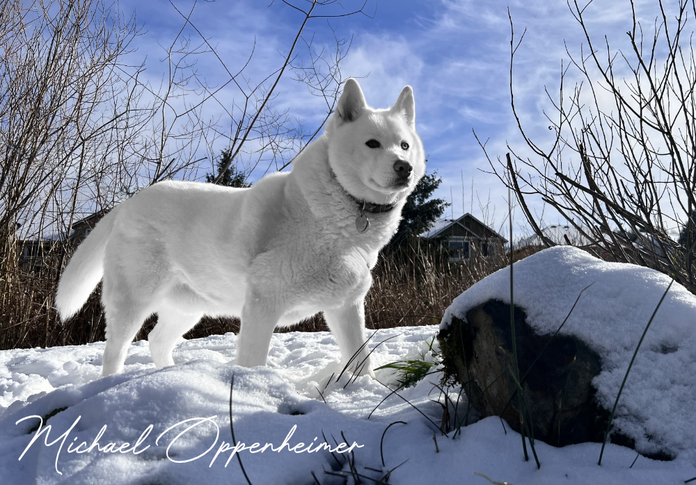 snowwithindy1323