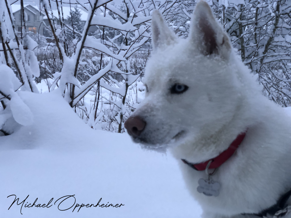 snowwithindy1793
